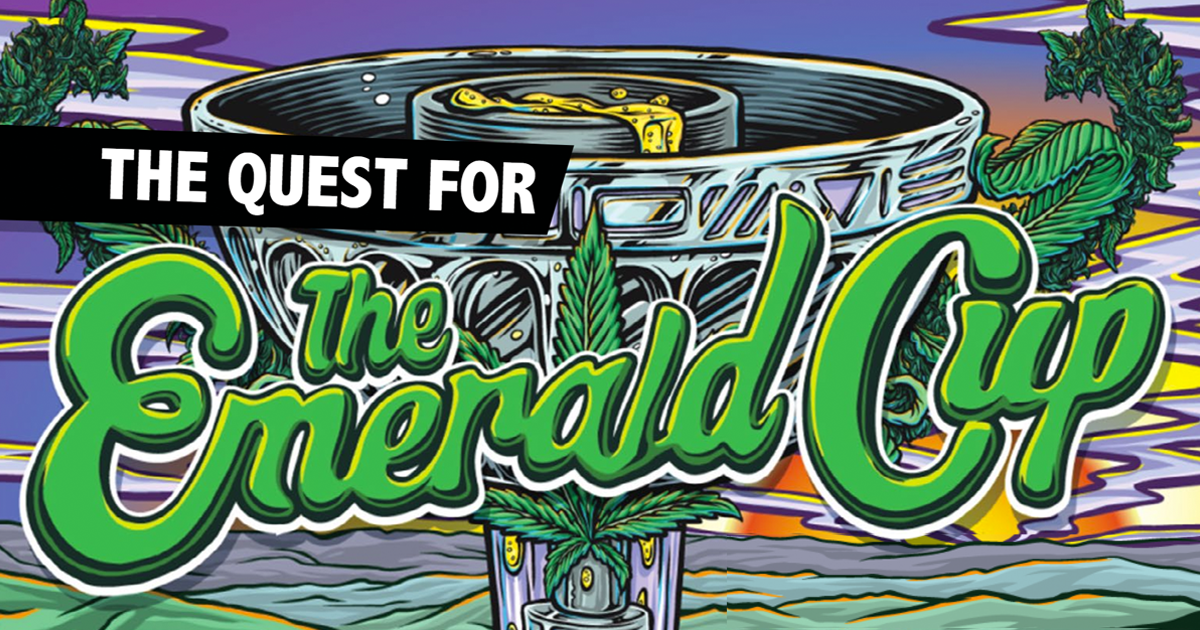 The Quest for the Emerald Cup Freedom Leaf Magazine Freedom Leaf